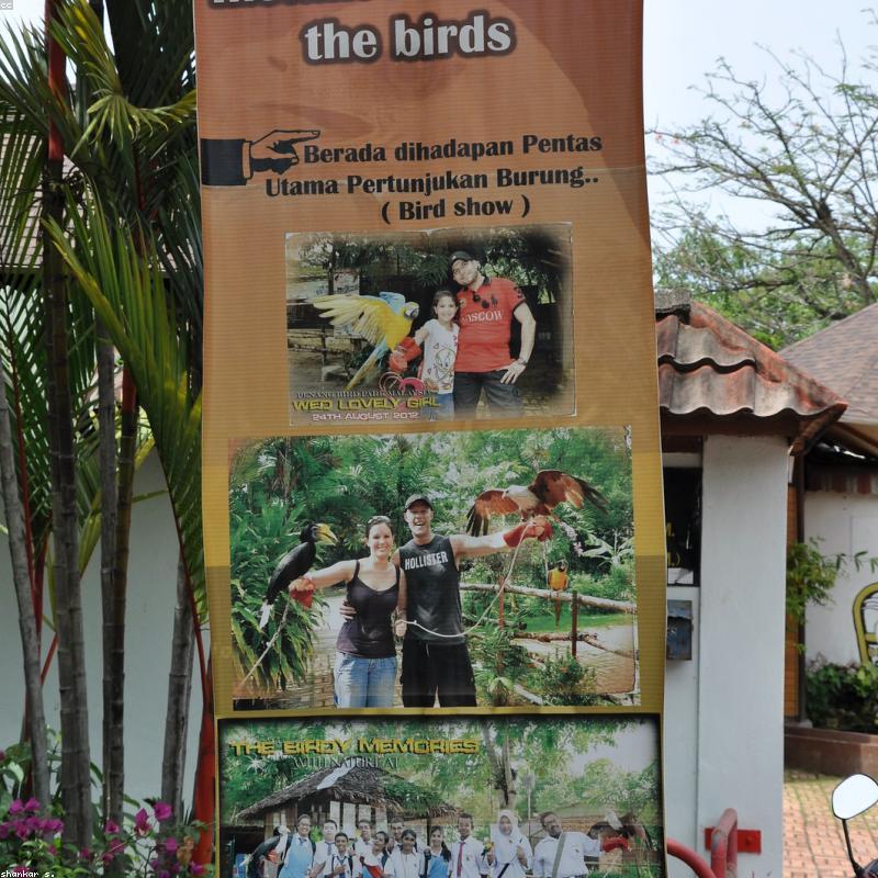 Roll-up Standee